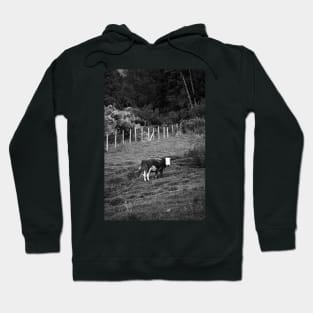 Cow (black and white) Hoodie